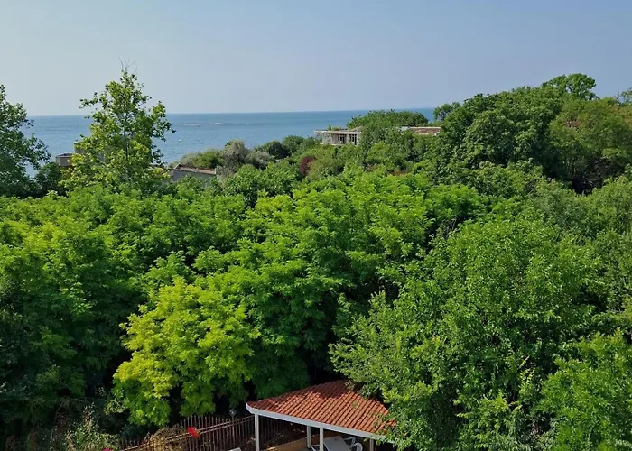 Sineva Апартамент *